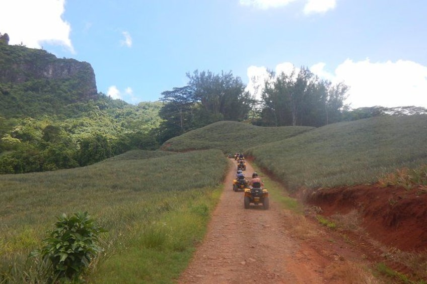 Grand Tour Quad Excursion in Moorea (Single or Two-Seater) 2