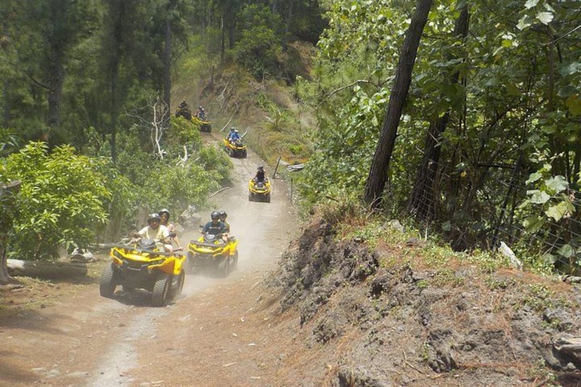 Grand Tour Quad Excursion in Moorea (Single or Two-Seater) 2