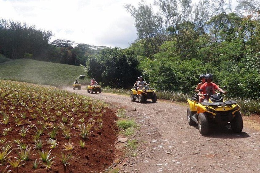 Grand Tour Quad Excursion in Moorea (Single or Two-Seater) 2
