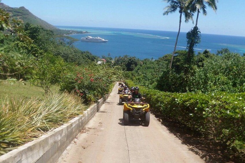 Grand Tour Quad Excursion in Moorea (Single or Two-Seater) 5