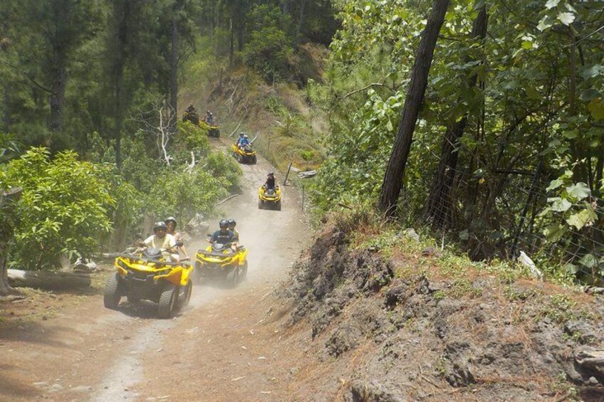 Off-road vehicles on a dirt path surrounded by dense forest. 2