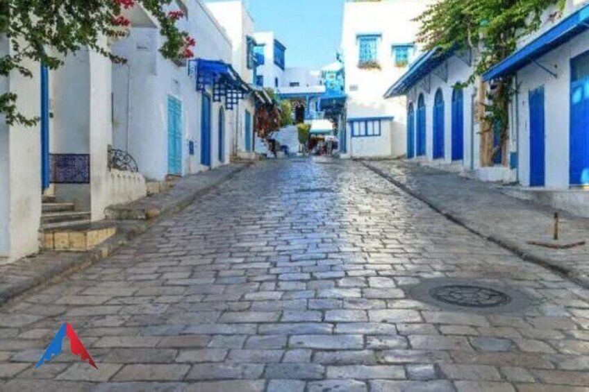 Village of Sidi Bou Said 4
