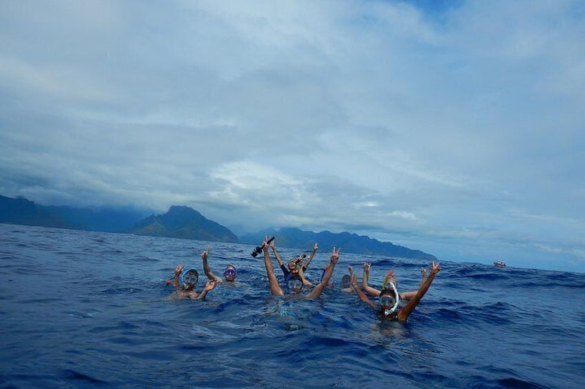 Half day whale tour 4h00 2