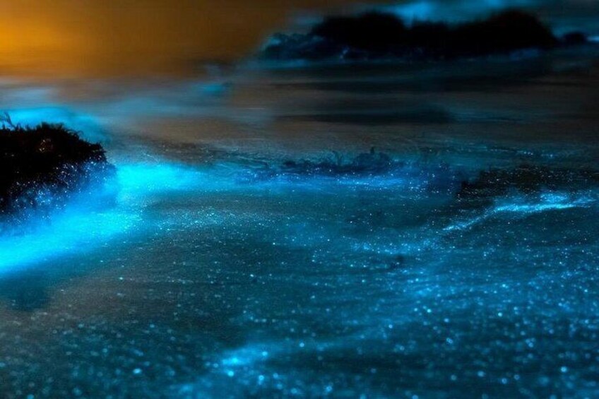 Grand Cayman Bioluminescent Bay & Starfish Point Boat Tour 2