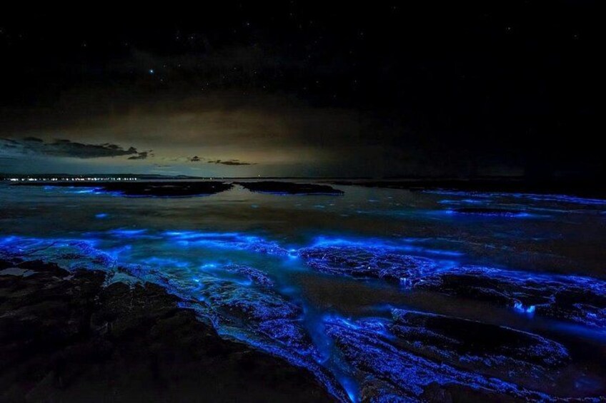Escena costera nocturna con luces azules brillantes sobre el agua y las rocas. 4