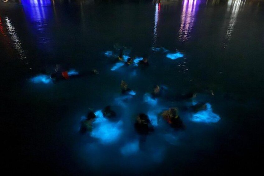Grand Cayman Bioluminescence Experience 4