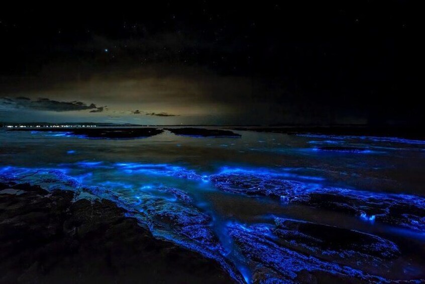 Grand Cayman Bioluminescent Bay & Starfish Point Boat Tour 2