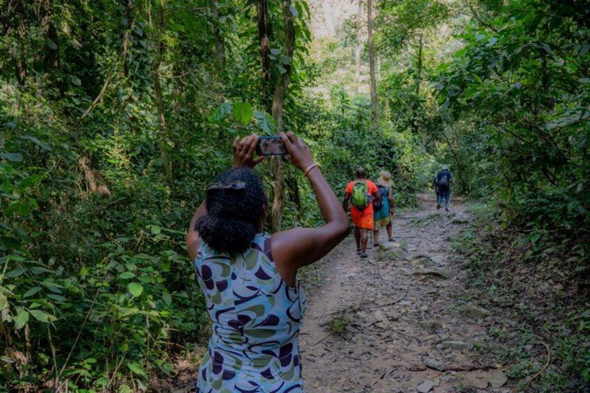 A person taking a photo of a group hiking on a forest trail. 3