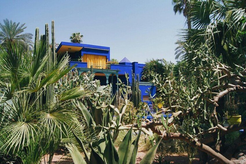 A blue building with yellow accents, surrounded by cacti and palm trees. 5