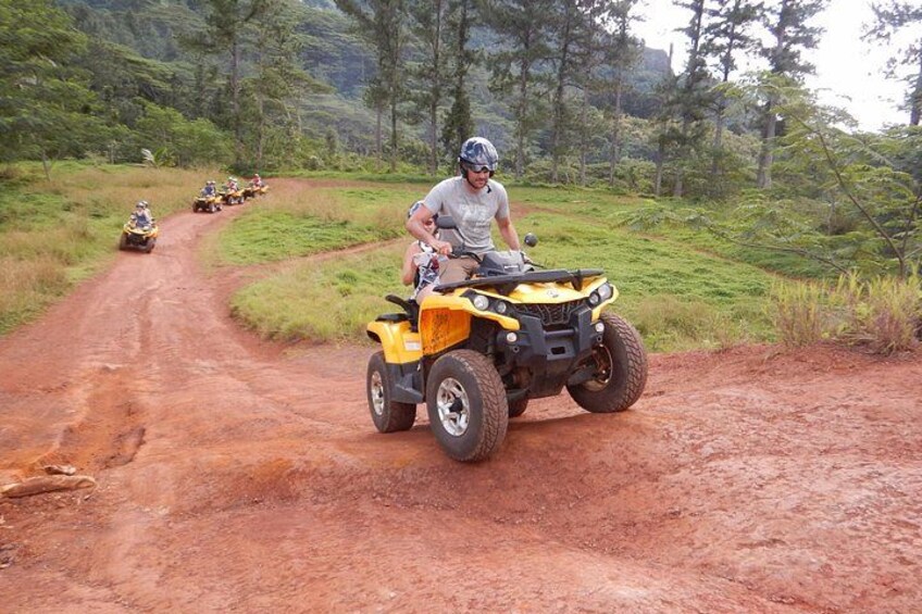 Small Quad Tour 2h30 Quad excursion in Moorea (single or two-seater) 5