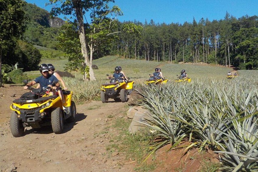 Small Quad Tour 2h30 Quad excursion in Moorea (single or two-seater) 4