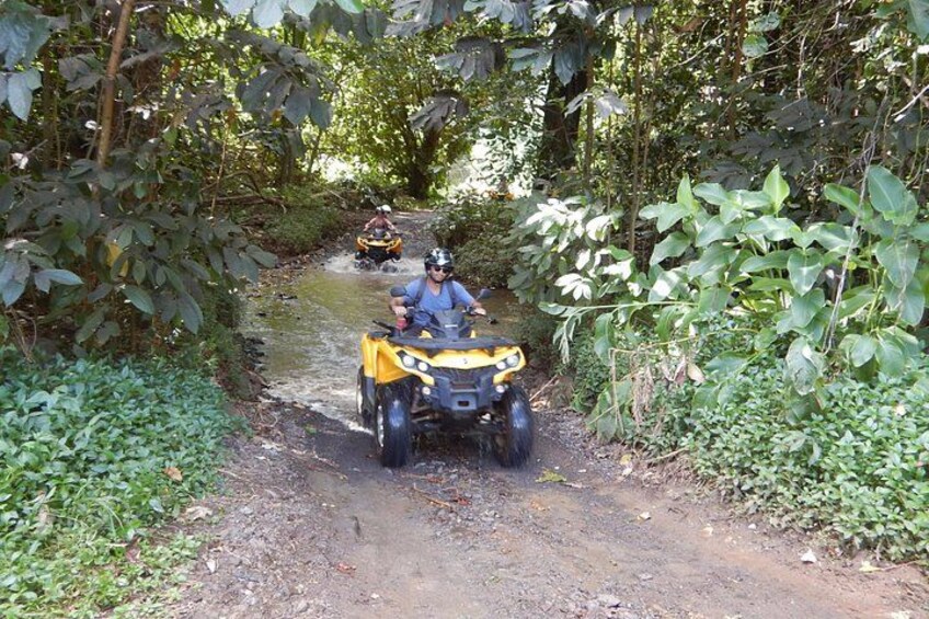 Small Quad Tour 2h30 Quad excursion in Moorea (single or two-seater) 3