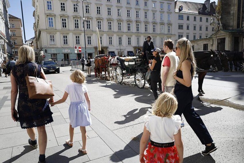 Vienna: Private Full-Day Tour with Schönbrunn, Hofburg and Lunch 3