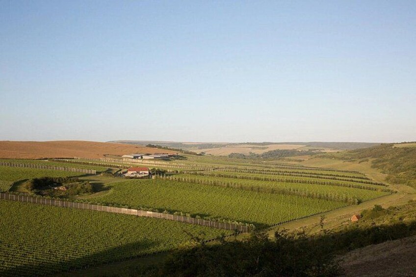 Rathfinny Wine Estate 2