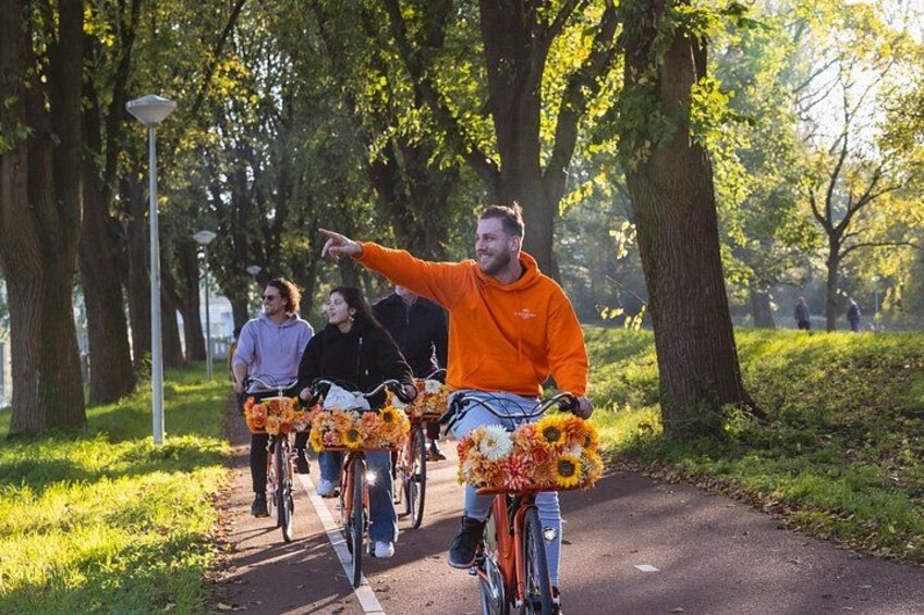 Amsterdam Cheese, Windmill & Countryside Bike Tour /E-bike Option 3