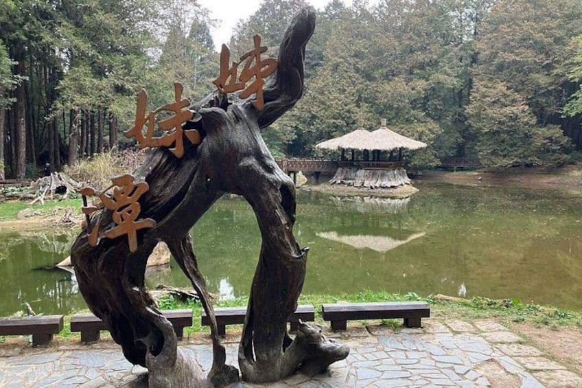 Alishan One Day Tour from Taichung 2