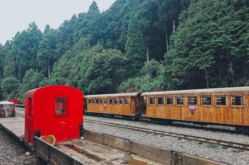 Alishan One Day Tour from Taichung 4