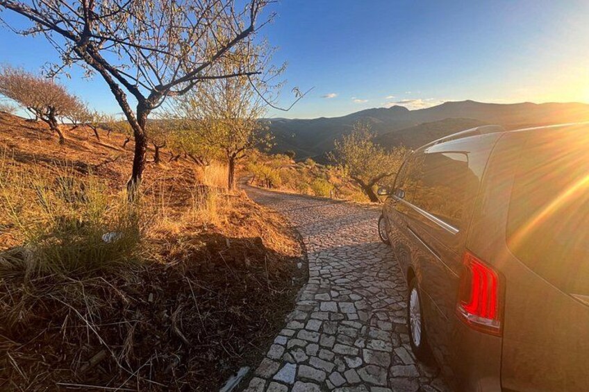 A stone pathway, a parked vehicle, and a tree-lined landscape with distant mountains. 5
