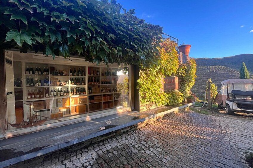 A wine cellar with shelves of bottles, a cobblestone path, and a vineyard in the background. 3