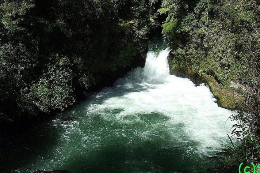 Ports of Tauranga/Rotorua/Tga - 6 Hours Rotorua Highlights Tour 1