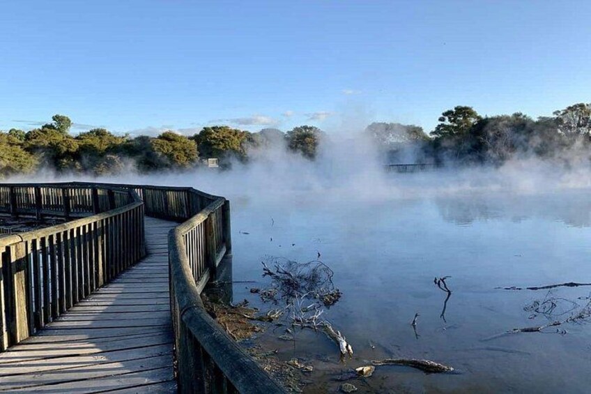 Ports of Tauranga/Rotorua/Tga - 6 Hours Rotorua Highlights Tour 5