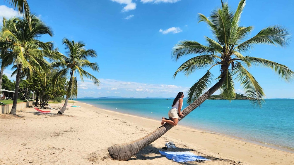 A person relaxing on a beach with palm trees and a clear blue sky. 3