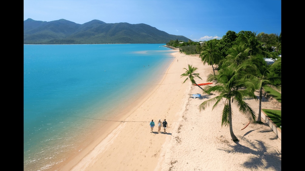 A beach with clear turquoise water, a sandy shore, and palm trees. 1
