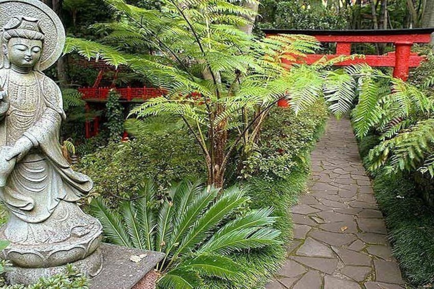 Madeira Tropical Gardens and Old Town Tuk Tuk Tour by MadTuk 4