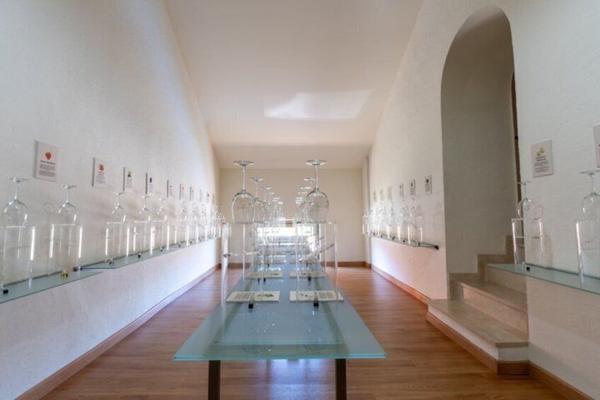 Explore an urban winery and enjoy a Jumilla wine tasting 4