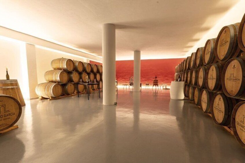 Explore an urban winery and enjoy a Jumilla wine tasting 3