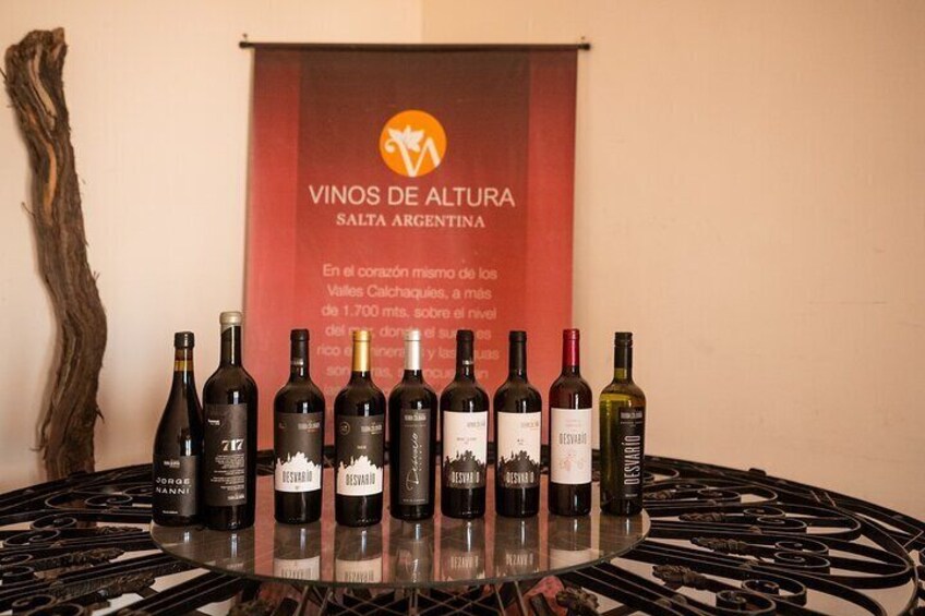 A table with wine bottles in front of a banner reading "VINOS DE ALTURA SALTA ARGENTINA". 4