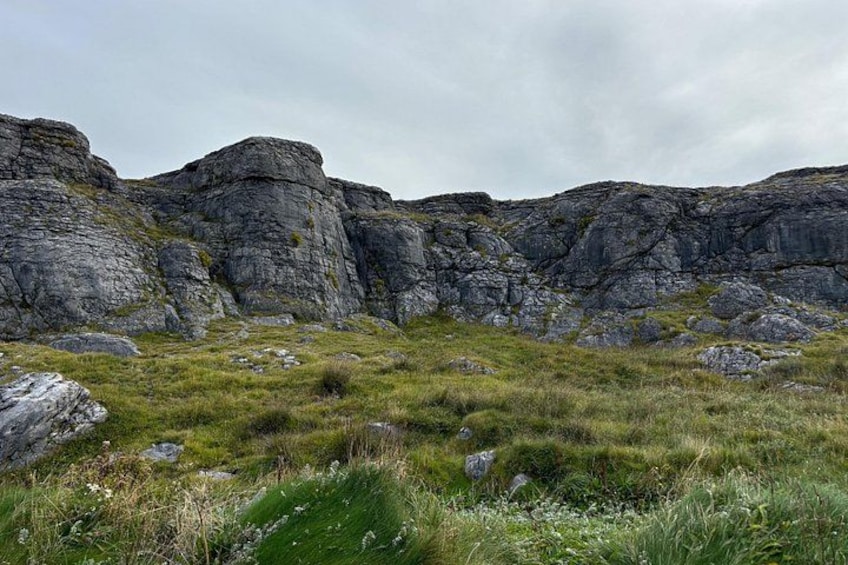Un paisaje rocoso con hierba y grandes rocas dispersas. 5
