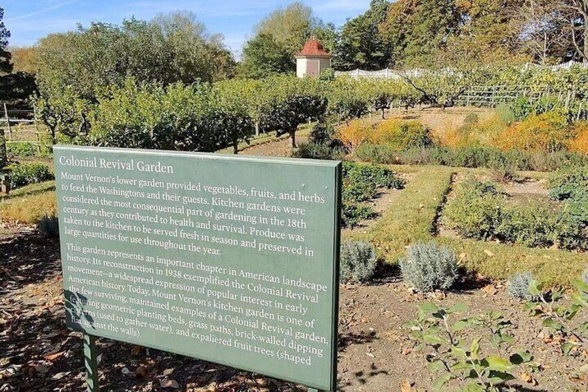 Een tuin met een bord, rijen planten en een gebouw op de achtergrond. 2