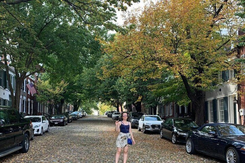 Een geplaveid straatje met geparkeerde auto's en bomen met herfstbladeren. 5