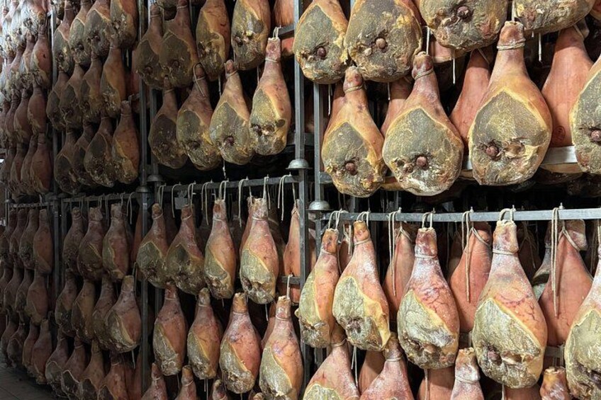 Modena Food Icons Tour: Parmigiano, Balsamico & Prosciutto 2