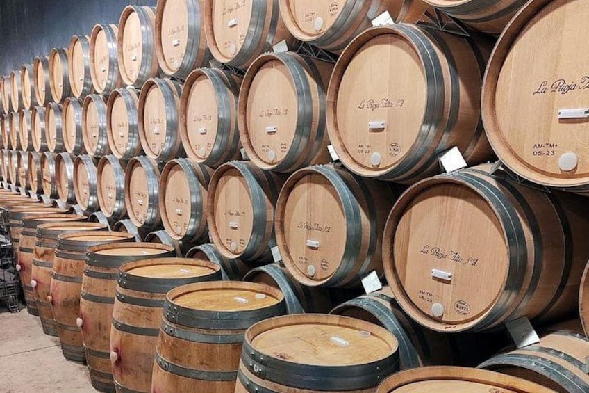 Marques de Riscal and Ysios Architecture Wine Tour with Lunch, SS 5
