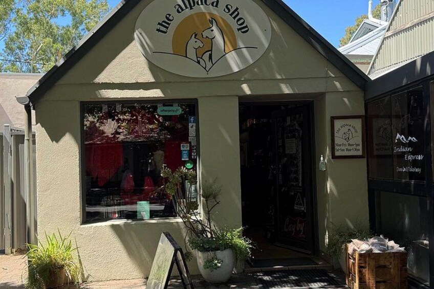 A shop named 'The Alpaca Shop' with a sign featuring an alpaca illustration. 2