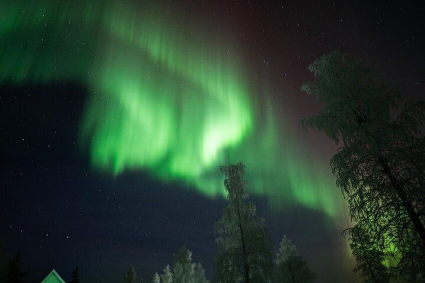 Auroras boreales sobre un paisaje boscoso de noche. 2