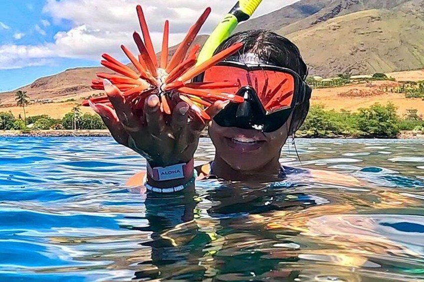 Unlimited Guided Snorkeling Tour for Beginners Plus 1