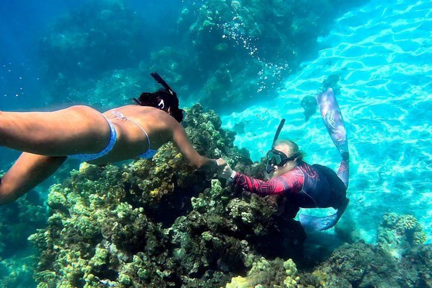 Unlimited Guided Snorkeling Tour for Beginners Plus 5