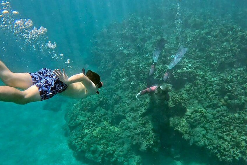 Unlimited Guided Snorkeling Tour for Beginners Plus 3