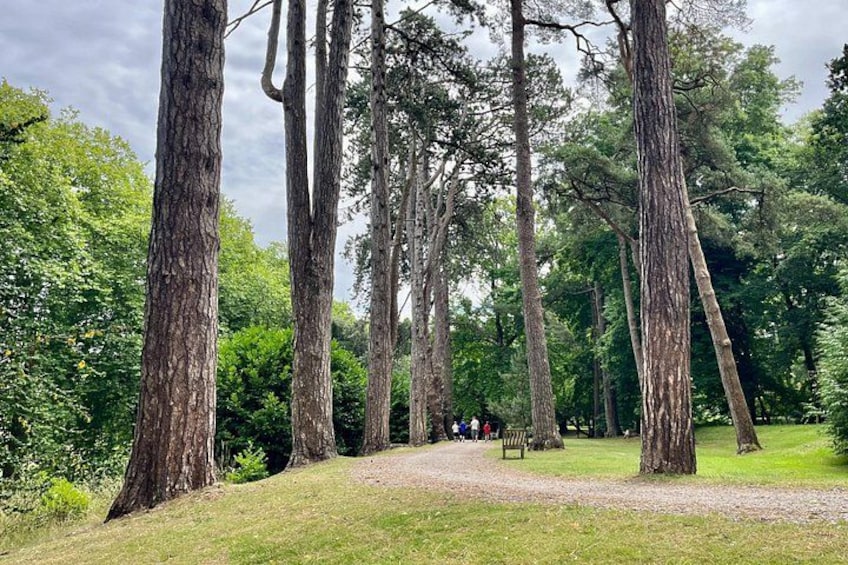 Cardiff: South Wales Cliffs, Beaches & Castles Day Tour 3
