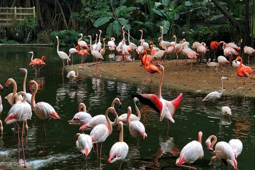 Guangzhou Customized Private Tour Guide with Car Service 5