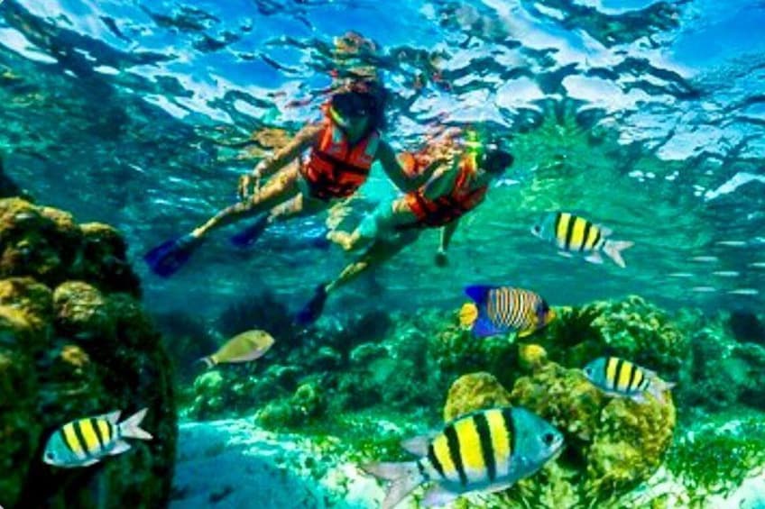 Dos buzos bajo el agua con peces tropicales. 3