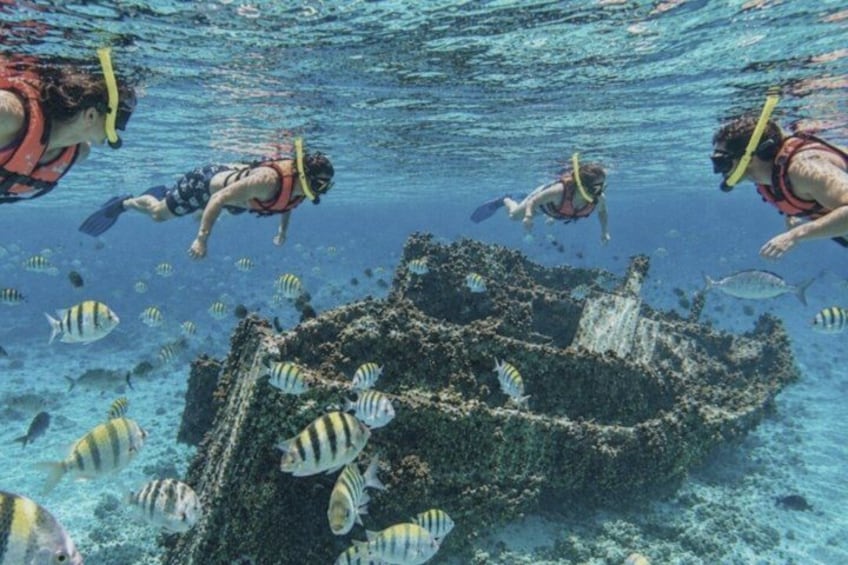 Divers exploring an underwater wreck surrounded by tropical fish. 3