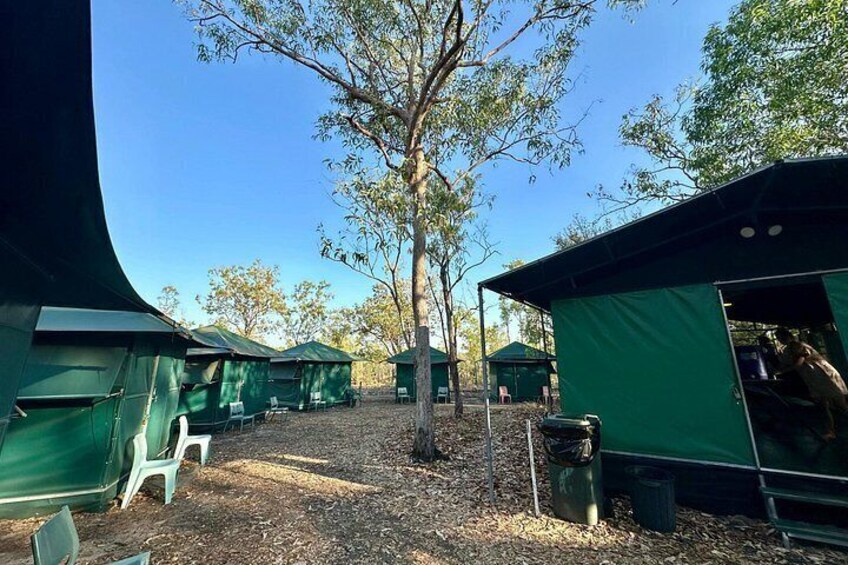 Kakadu, Katherine and Litchfield Adventure 4