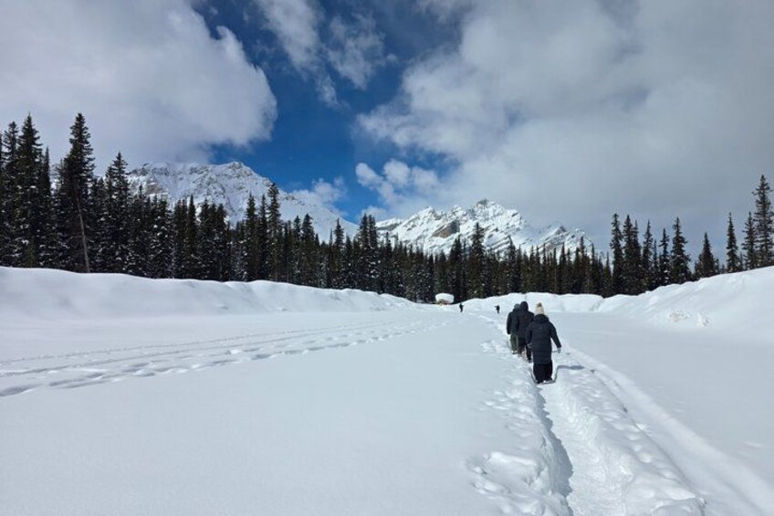 A snowy mountain landscape with a clear sky, a group of people hiking, and dense evergreen trees. 4