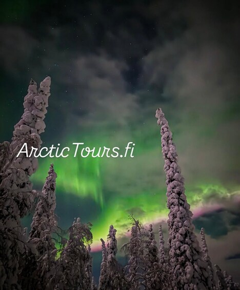 A snowy landscape with trees under a green aurora. 1