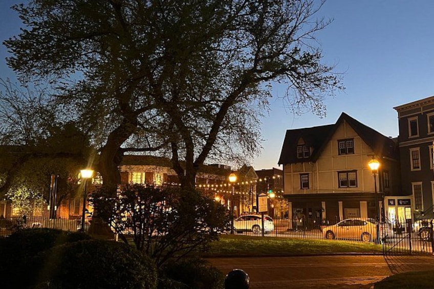 A tree-lined street at dusk with illuminated buildings and a parked car. 3