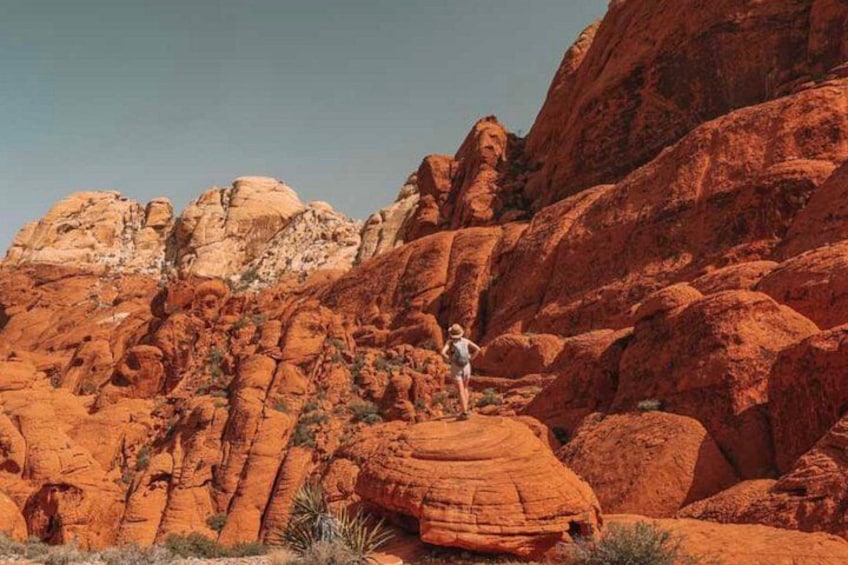 World Famous “As Seen on TV” Red Rock Canyon Scenic Loop Tour 4